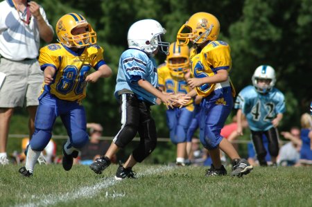 004-DSC_0897.JPG.medium.jpeg