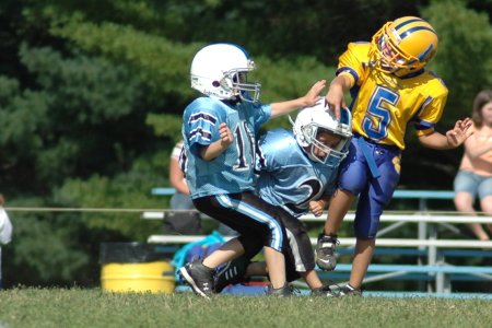 012-DSC_0929.JPG.medium.jpeg