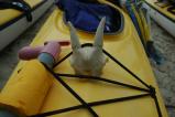 img075.jpeg.small.jpeg